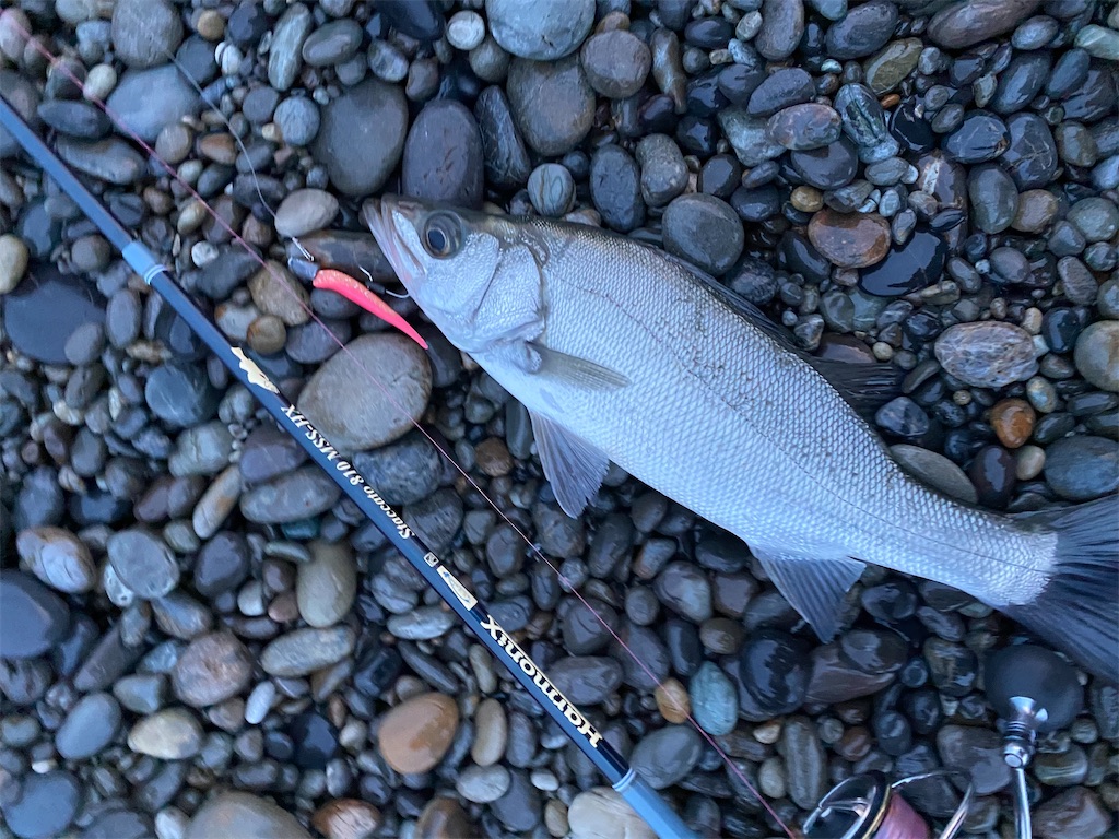 f:id:yasutsuchi2:20210717144847j:image