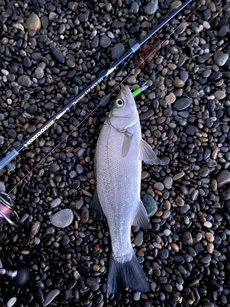 f:id:yasutsuchi2:20210720145738j:image