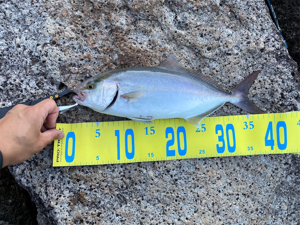 f:id:yasutsuchi2:20210721160614j:image