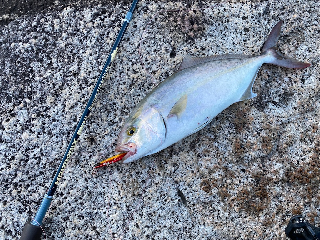 f:id:yasutsuchi2:20210721160936j:image