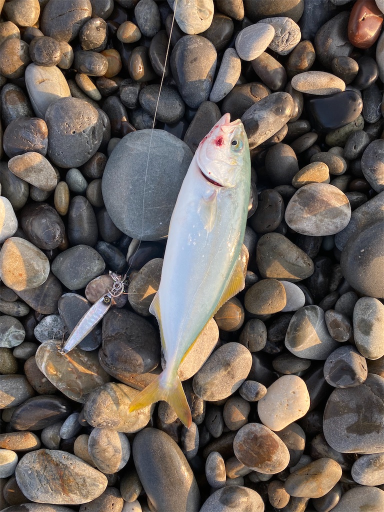 f:id:yasutsuchi2:20210729180704j:image f:id:yasutsuchi2:20210729180704j:image