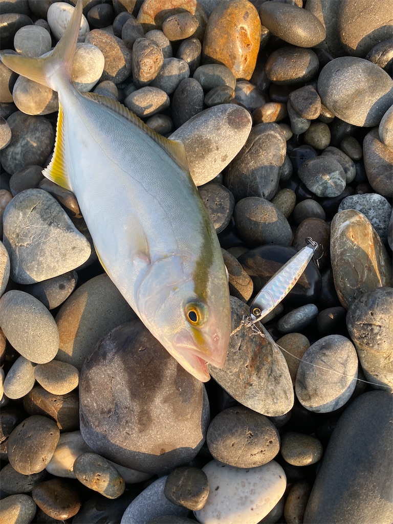 f:id:yasutsuchi2:20210729180709j:image f:id:yasutsuchi2:20210729180709j:image