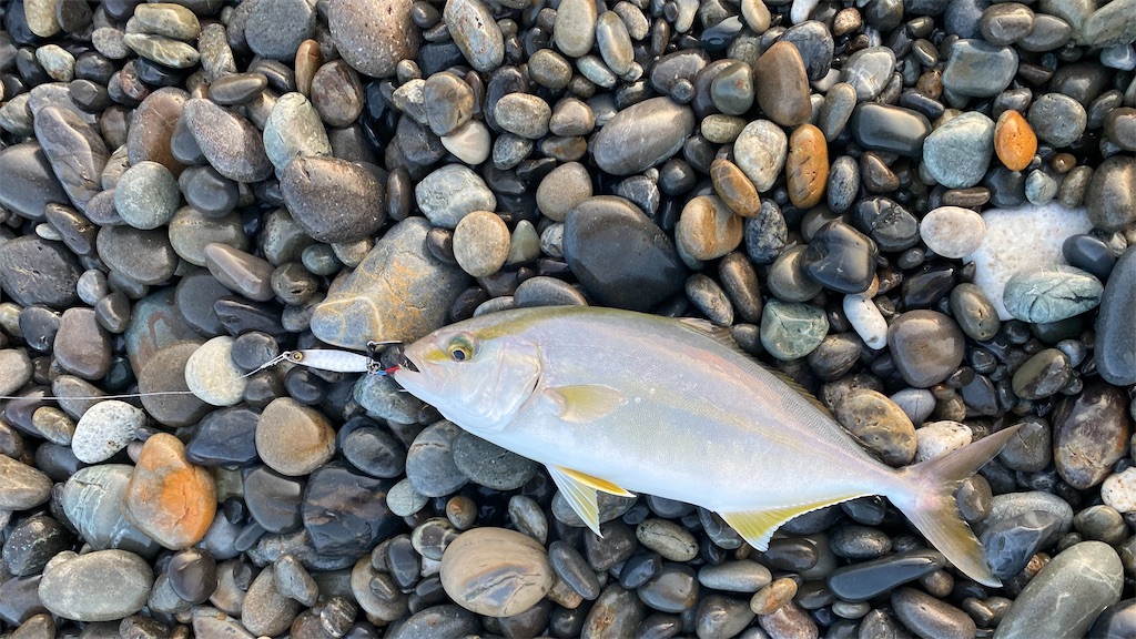 f:id:yasutsuchi2:20210730214318j:image f:id:yasutsuchi2:20210730214318j:image