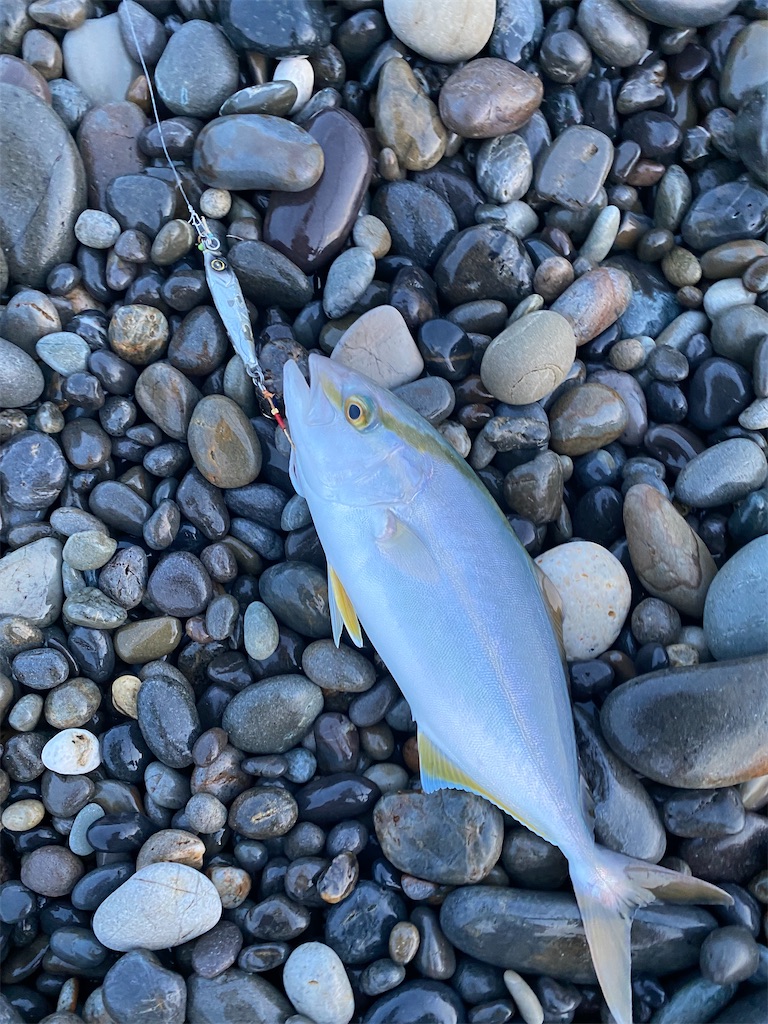 f:id:yasutsuchi2:20210802173654j:image