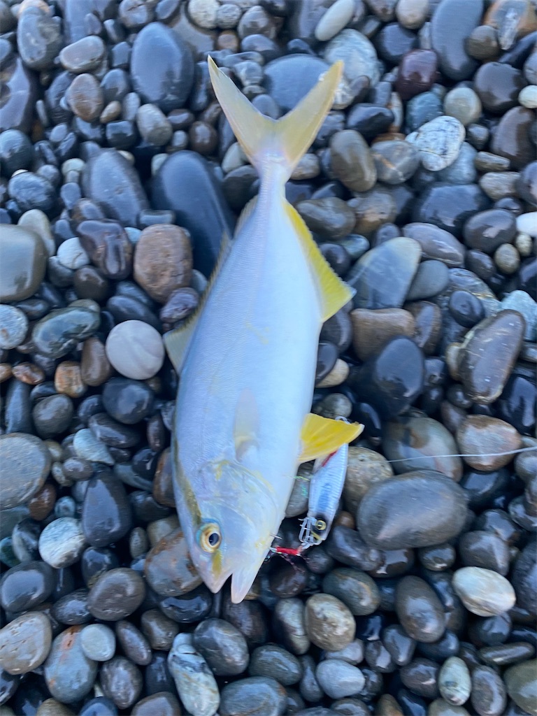 f:id:yasutsuchi2:20210802173715j:image