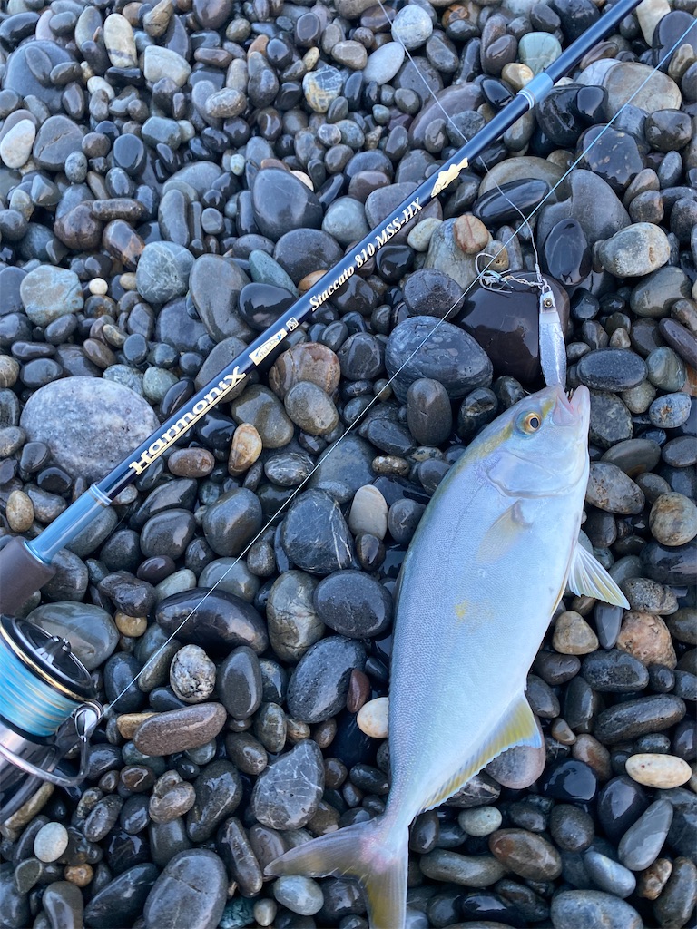 f:id:yasutsuchi2:20210802173724j:image