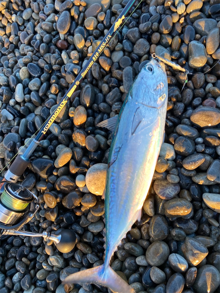 f:id:yasutsuchi2:20210804164707j:image f:id:yasutsuchi2:20210804164707j:image