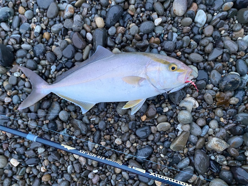 f:id:yasutsuchi2:20210813175500j:image f:id:yasutsuchi2:20210813175500j:image