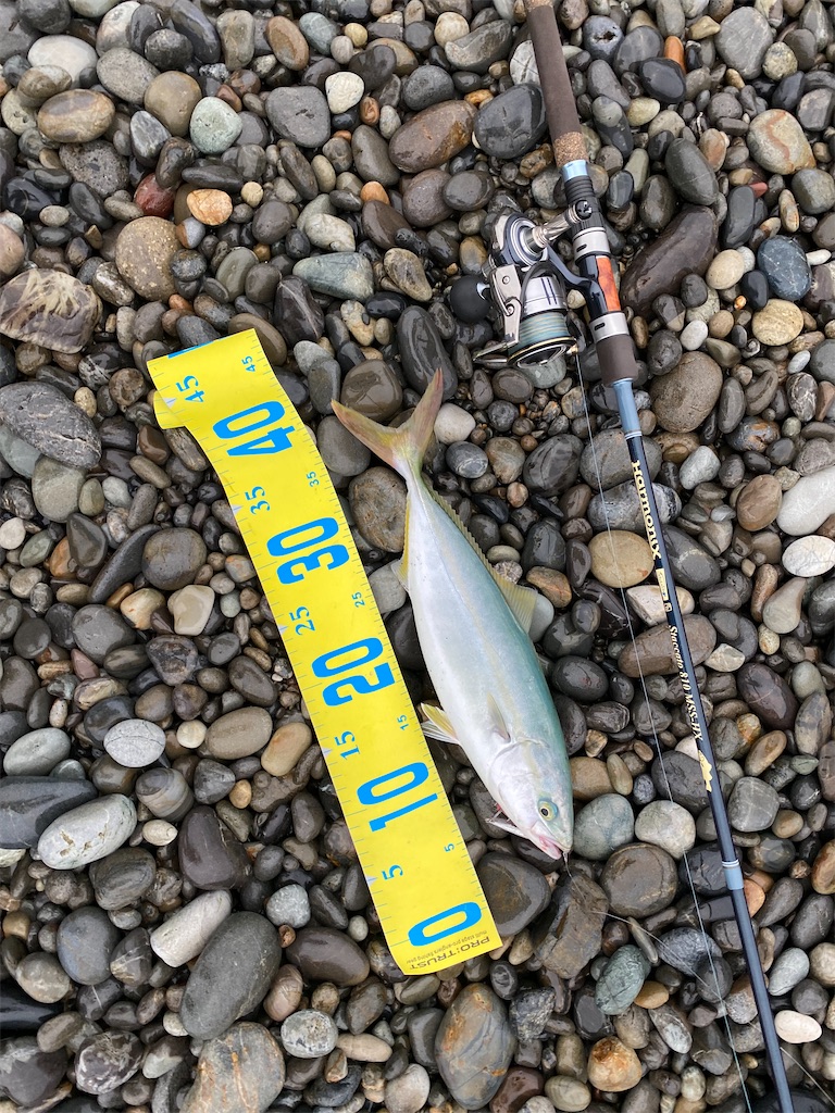 f:id:yasutsuchi2:20210813175521j:image f:id:yasutsuchi2:20210813175521j:image