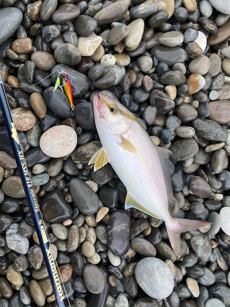 f:id:yasutsuchi2:20210815202816j:image