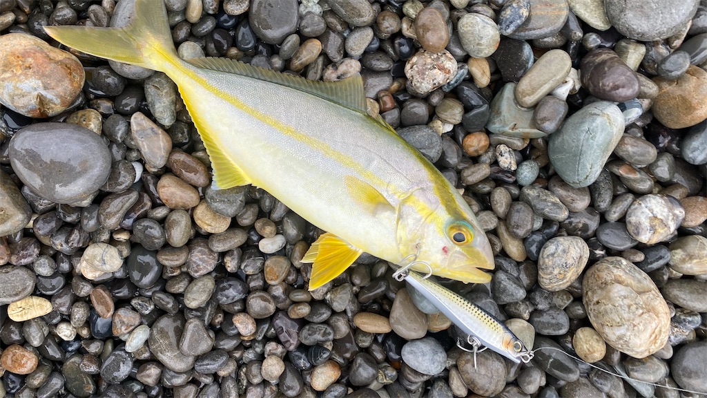 f:id:yasutsuchi2:20210815202840j:image