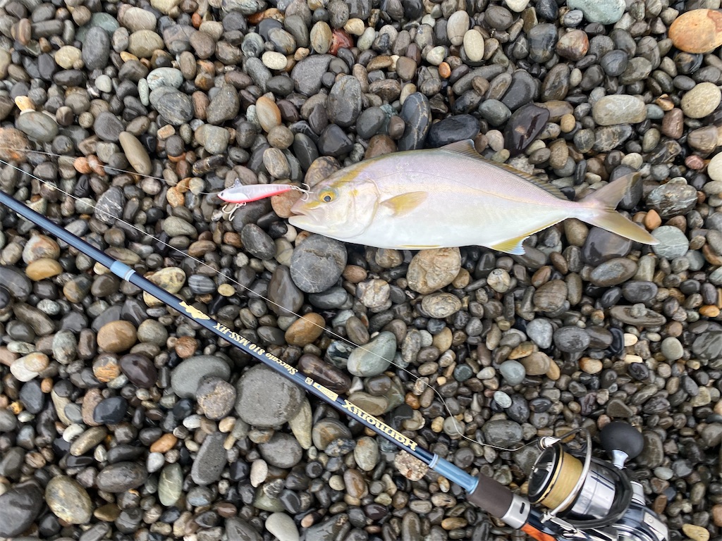 f:id:yasutsuchi2:20210815202904j:image