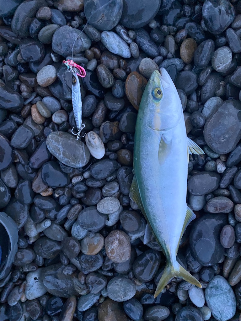 f:id:yasutsuchi2:20210823221516j:image