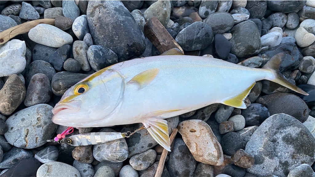 f:id:yasutsuchi2:20210825221715j:image