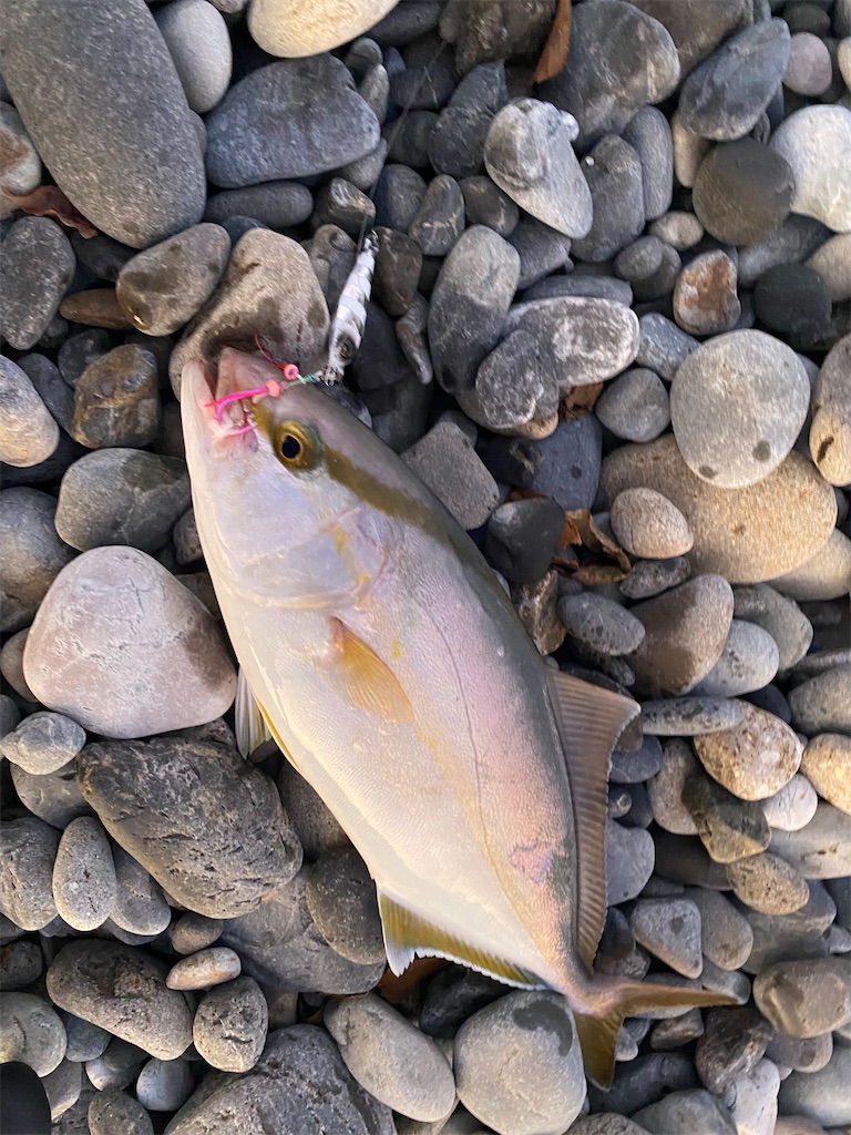 f:id:yasutsuchi2:20210826220345j:image