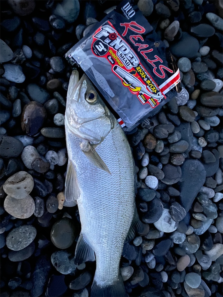 f:id:yasutsuchi2:20210910180938j:image f:id:yasutsuchi2:20210910180938j:image