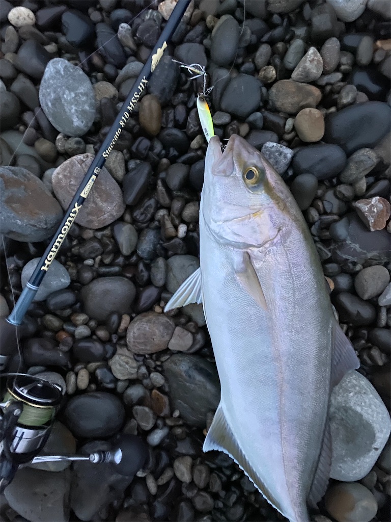 f:id:yasutsuchi2:20210914143946j:image f:id:yasutsuchi2:20210914143946j:image