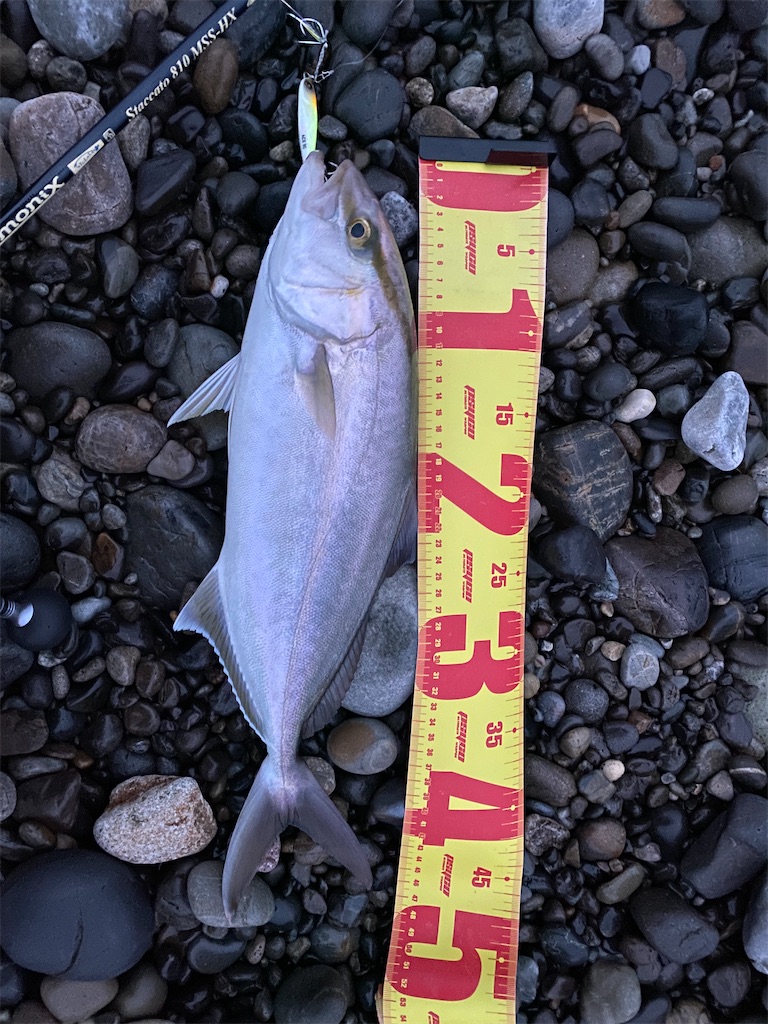 f:id:yasutsuchi2:20210914143956j:image f:id:yasutsuchi2:20210914143956j:image