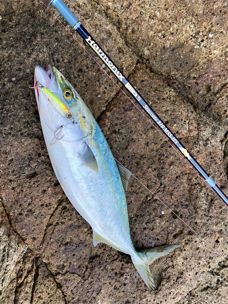 f:id:yasutsuchi2:20210920212801j:image