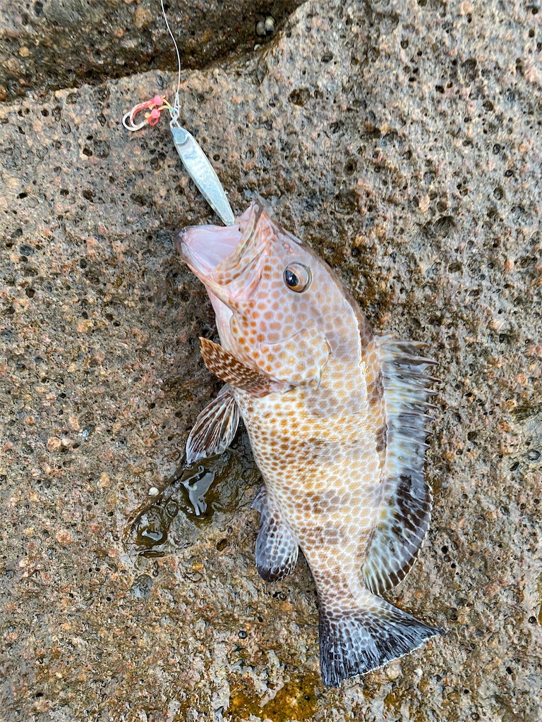 f:id:yasutsuchi2:20210920212826j:image