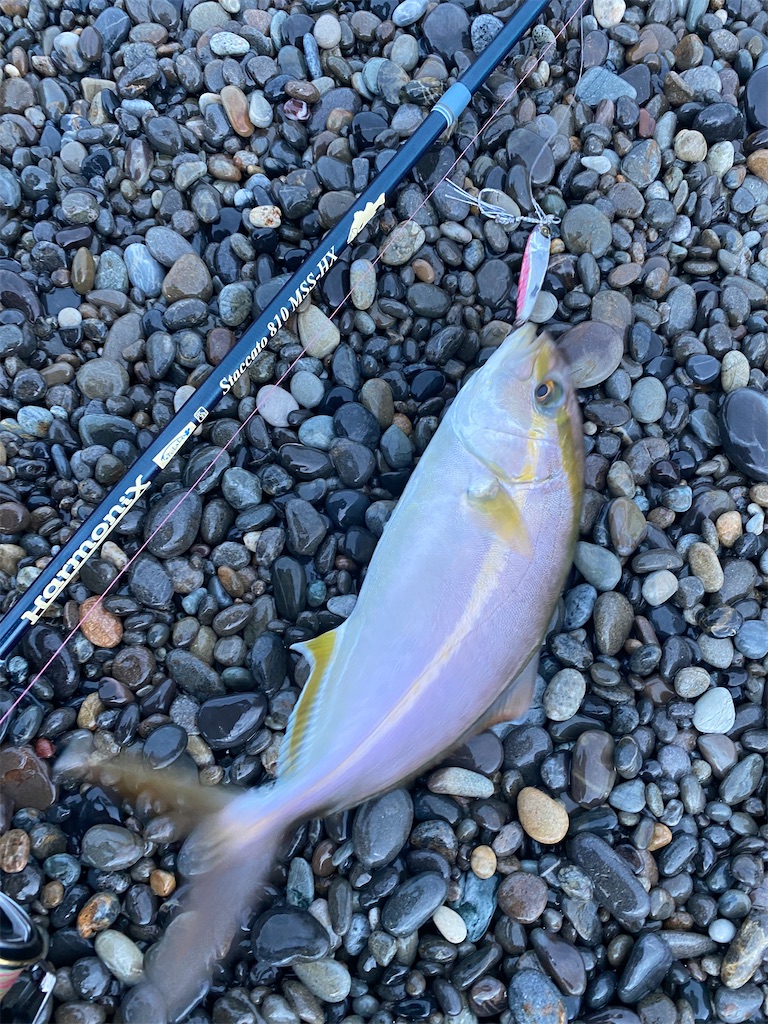 f:id:yasutsuchi2:20210922163846j:image f:id:yasutsuchi2:20210922163846j:image