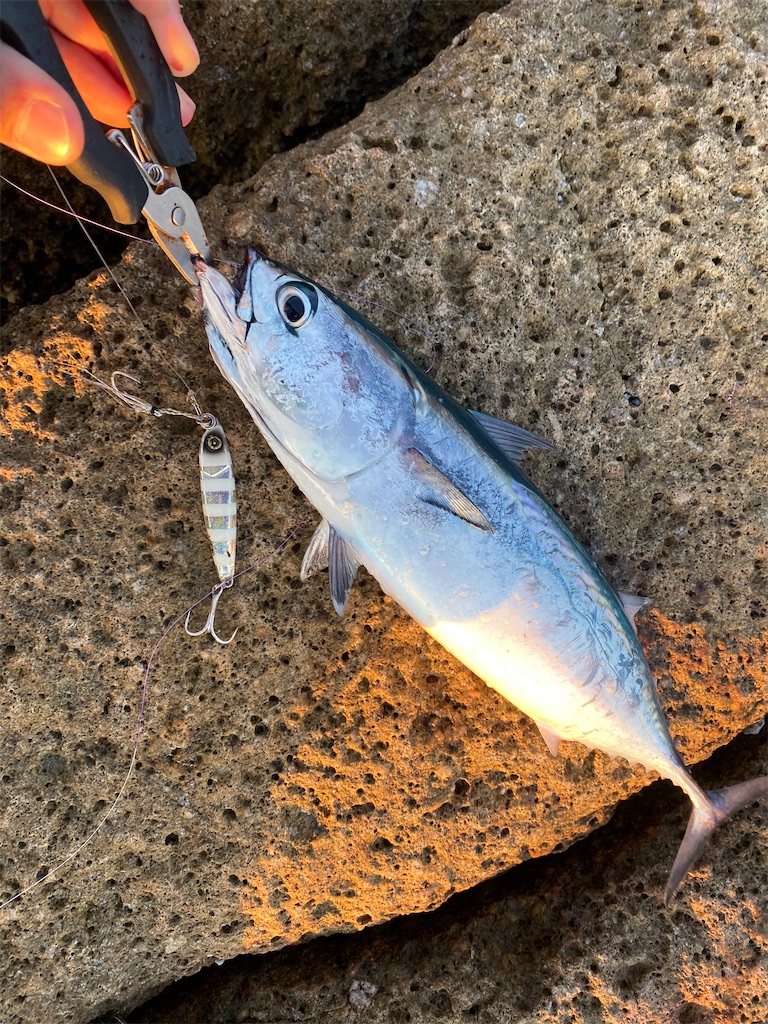 f:id:yasutsuchi2:20210923194456j:image f:id:yasutsuchi2:20210923194456j:image