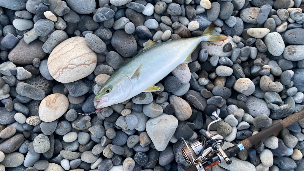 f:id:yasutsuchi2:20210924191648j:image