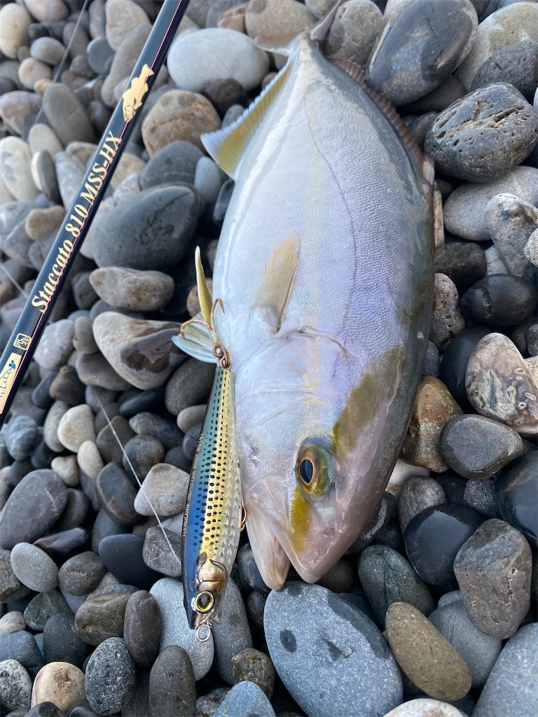 f:id:yasutsuchi2:20210924191706j:image