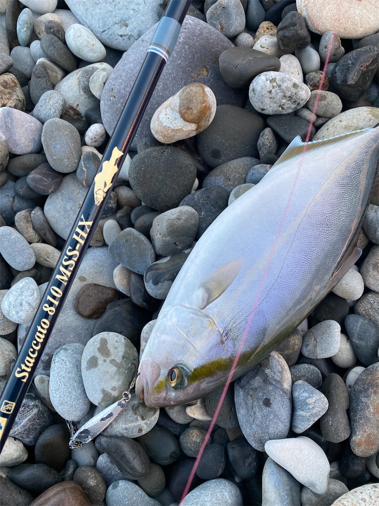 f:id:yasutsuchi2:20210924191728j:image