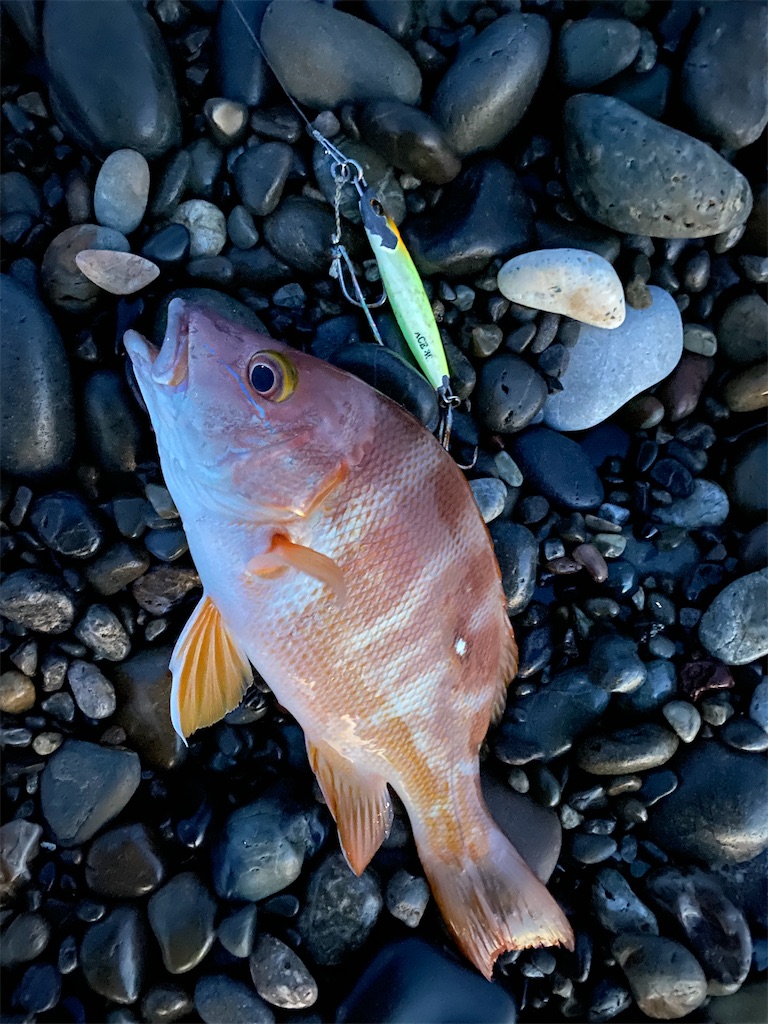 f:id:yasutsuchi2:20210925203700j:image