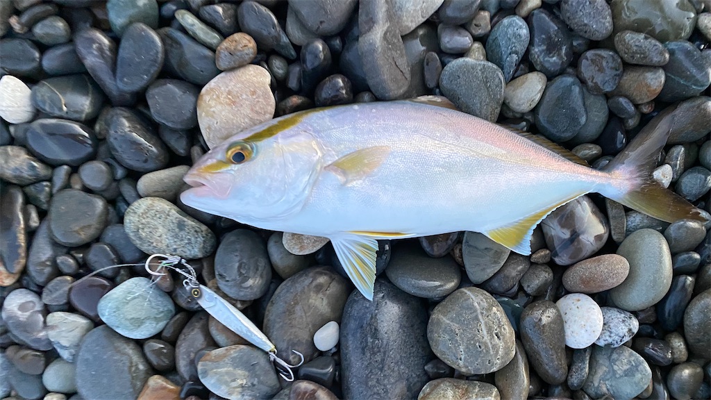 f:id:yasutsuchi2:20210925203738j:image