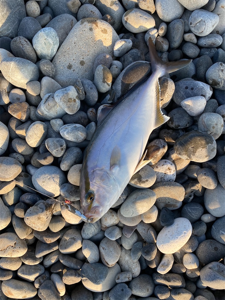 f:id:yasutsuchi2:20210925203807j:image