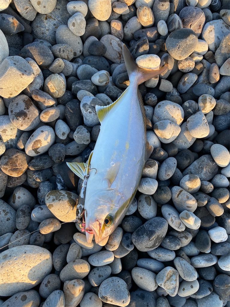 f:id:yasutsuchi2:20210925203809j:image