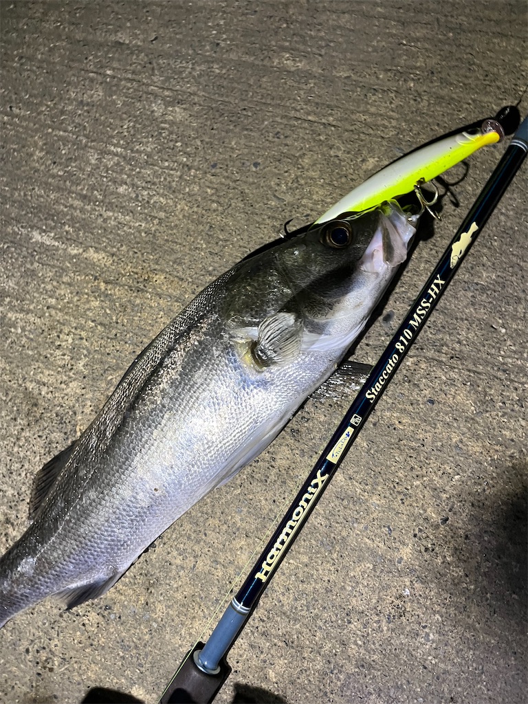 f:id:yasutsuchi2:20211002215659j:image