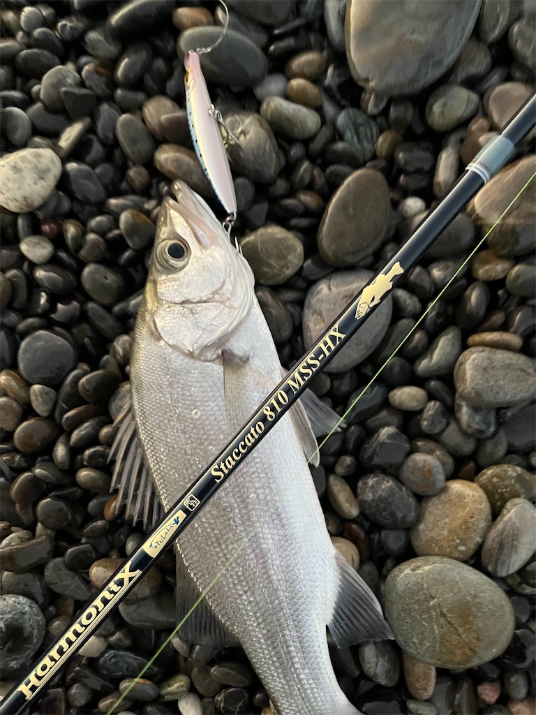 f:id:yasutsuchi2:20211002215750j:image