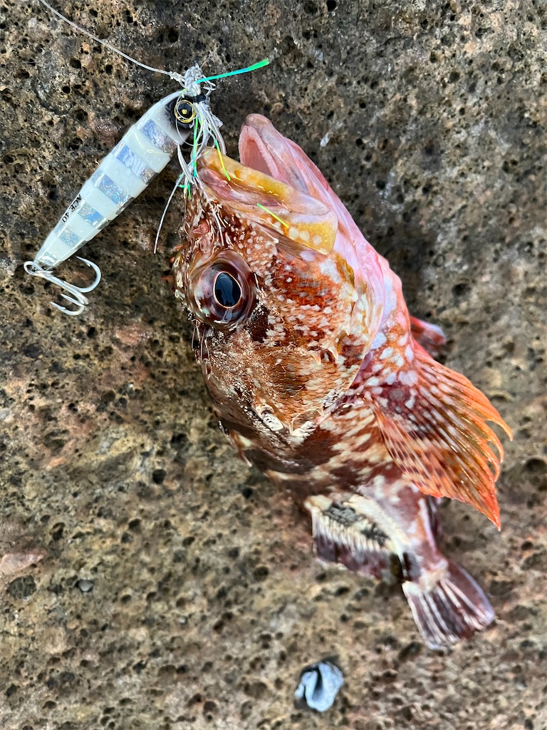 f:id:yasutsuchi2:20211003173025j:image