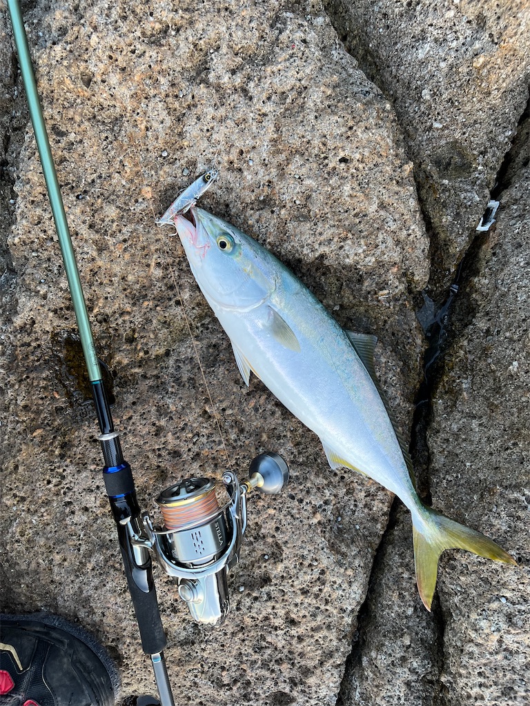 f:id:yasutsuchi2:20211003173037j:image