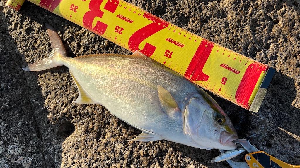 f:id:yasutsuchi2:20211003173100j:image