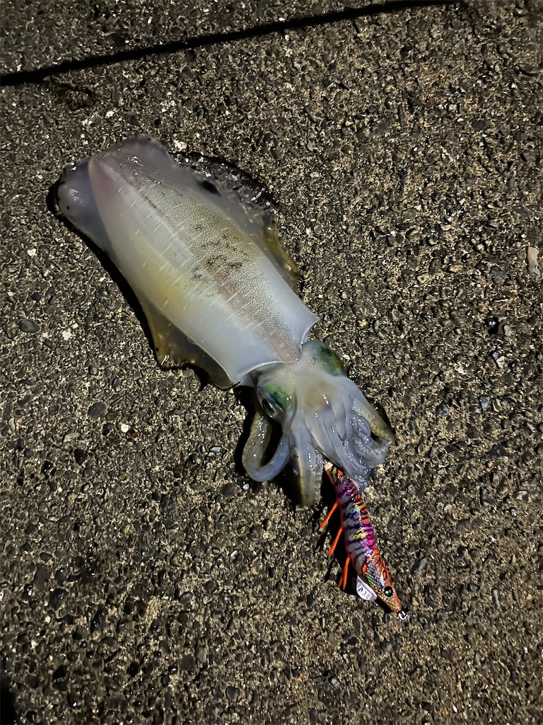 f:id:yasutsuchi2:20211005122744j:image f:id:yasutsuchi2:20211005122744j:image