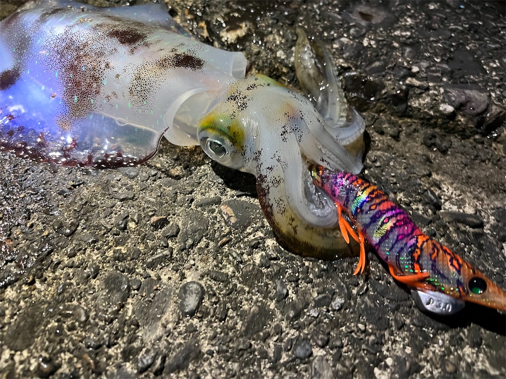 f:id:yasutsuchi2:20211005125421j:image f:id:yasutsuchi2:20211005125421j:image