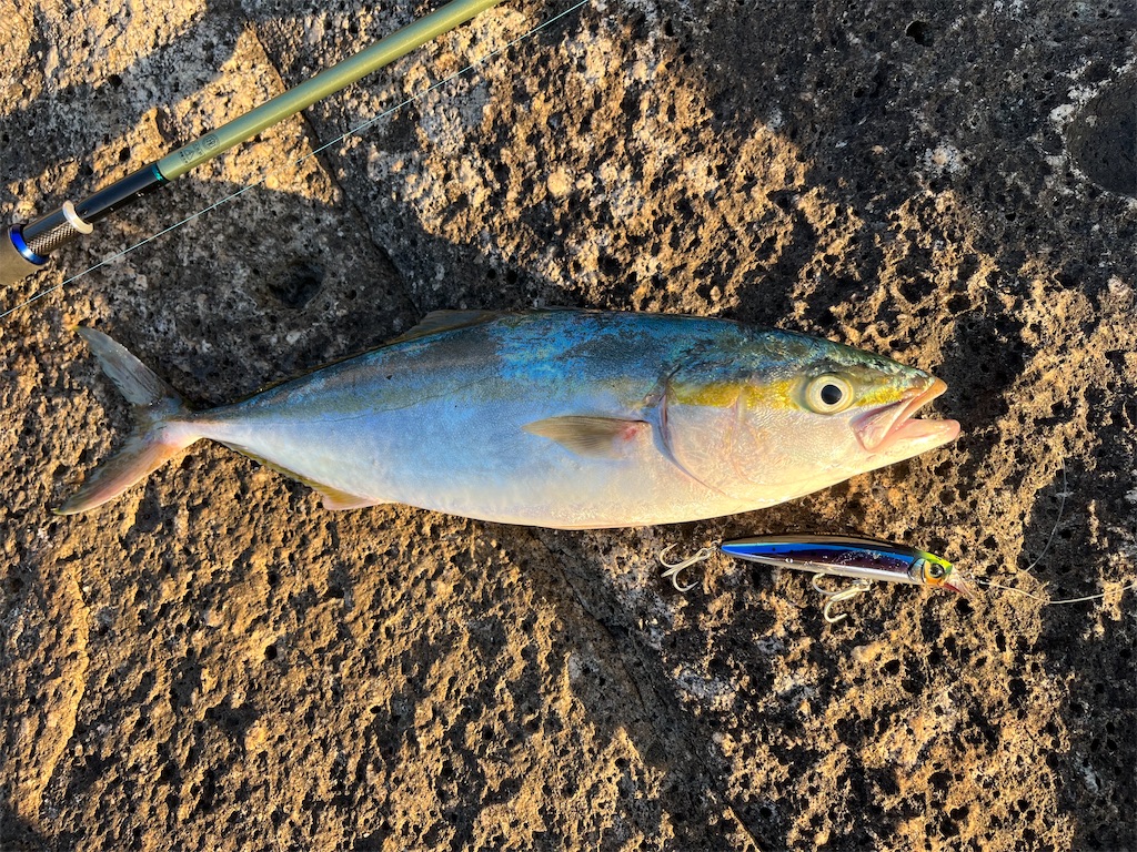 f:id:yasutsuchi2:20211006170741j:image