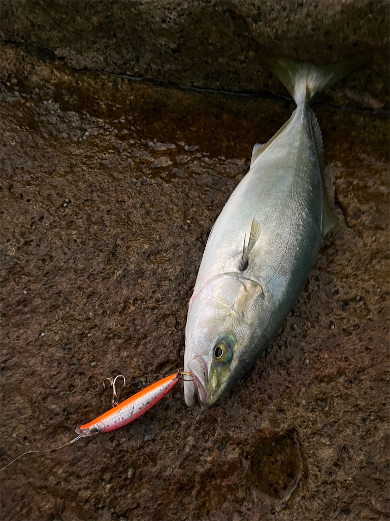 f:id:yasutsuchi2:20211017214225j:image f:id:yasutsuchi2:20211017214225j:image