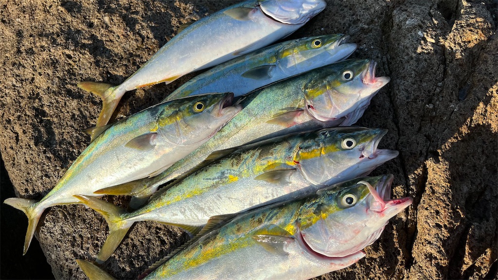 f:id:yasutsuchi2:20211017214316j:image f:id:yasutsuchi2:20211017214316j:image