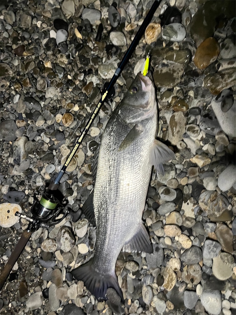 f:id:yasutsuchi2:20211029163354j:image