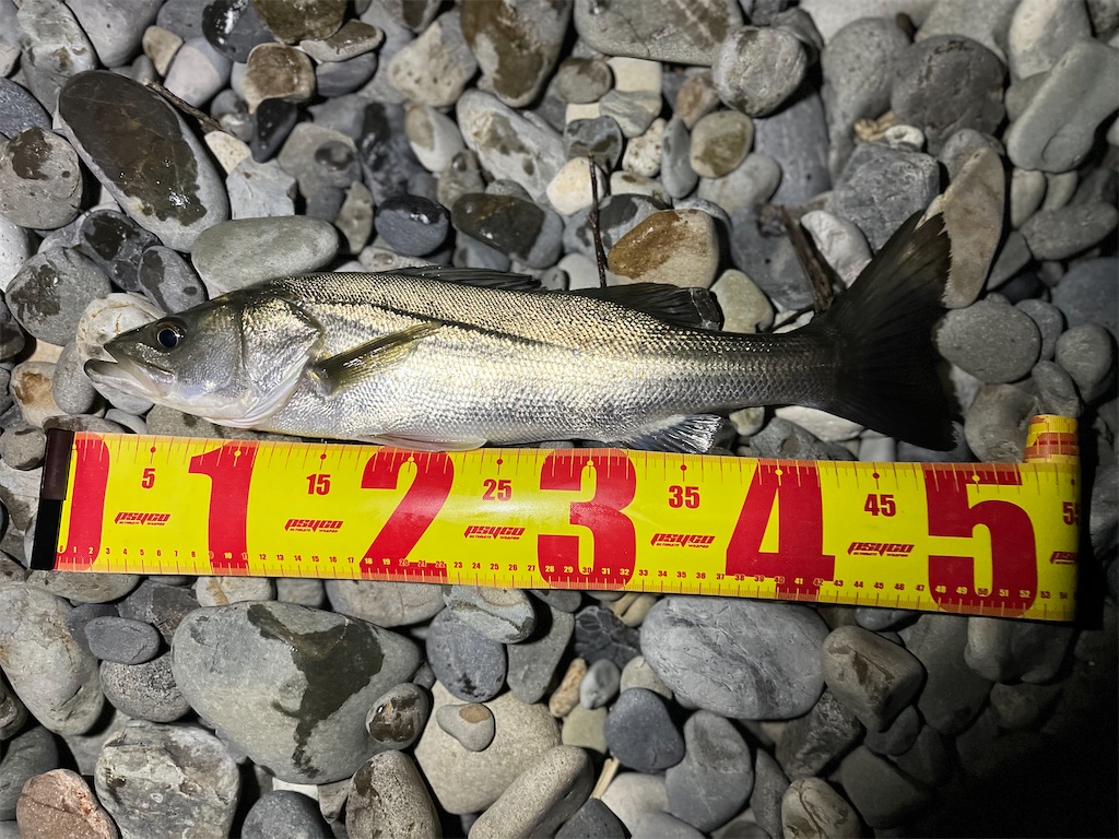 f:id:yasutsuchi2:20211029164303j:image