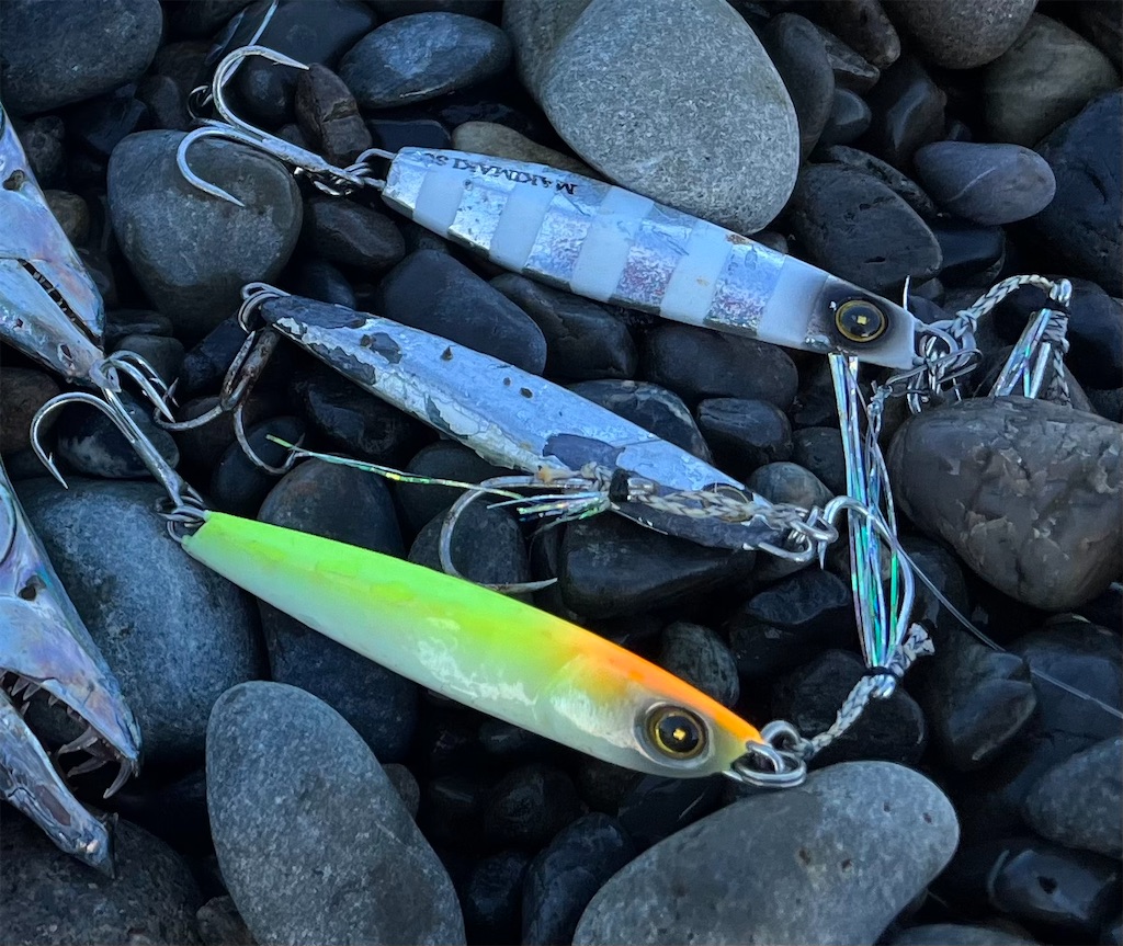 f:id:yasutsuchi2:20211104143547j:image