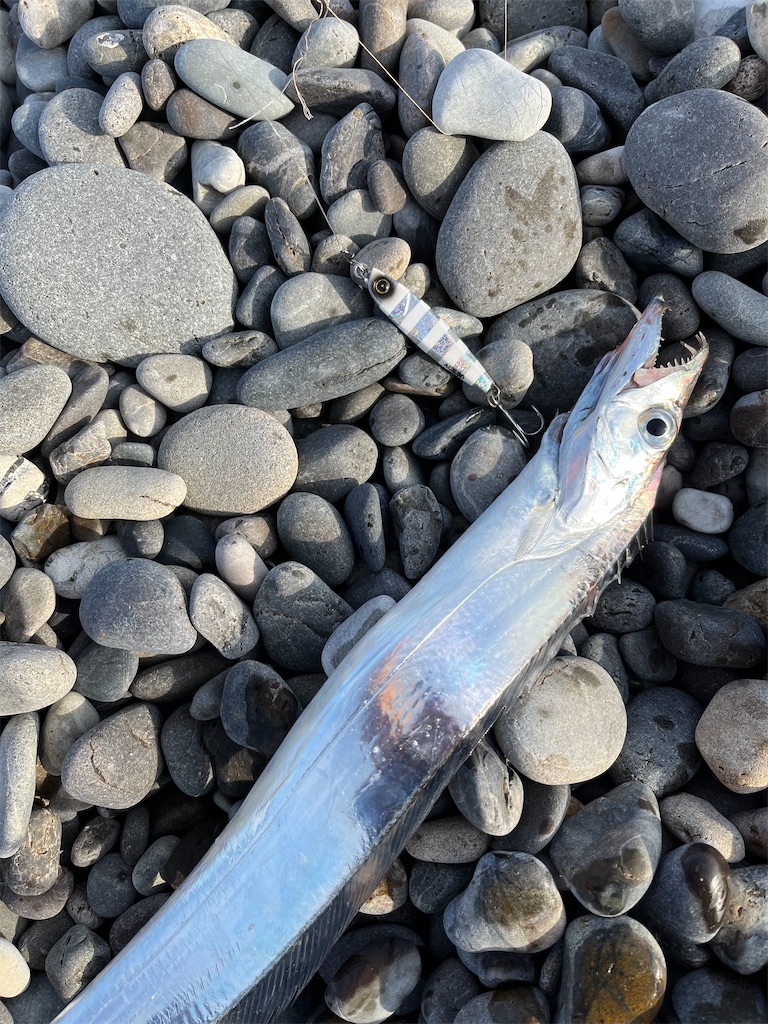 f:id:yasutsuchi2:20211107200130j:image