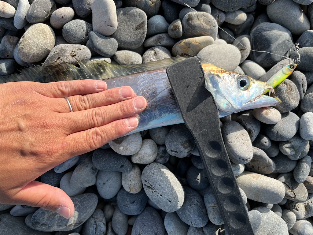 f:id:yasutsuchi2:20211107200218j:image