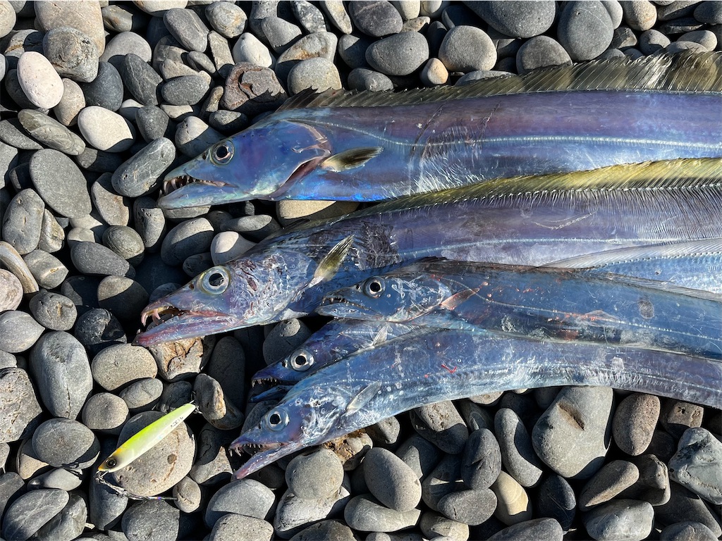 f:id:yasutsuchi2:20211107200231j:image