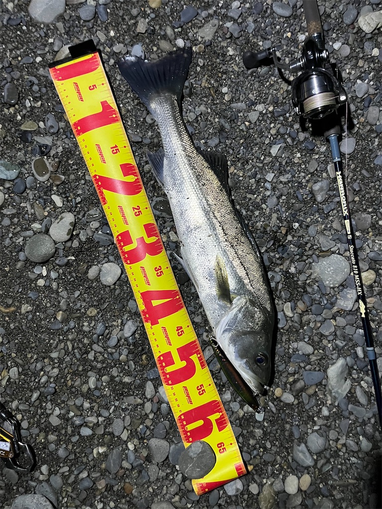 f:id:yasutsuchi2:20211208182526j:image